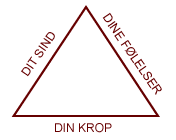 kinesiologi er en helhedsbehandling der involverer dine følelser, din krop og dit sind.